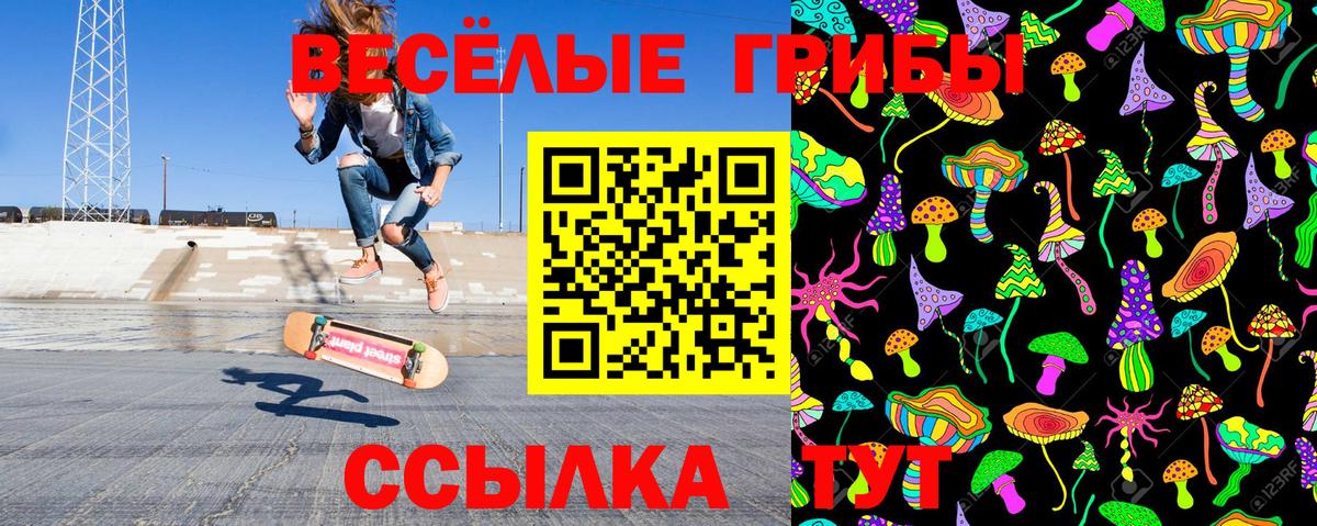 Галлюциногенные грибы MAGIC MUSHROOMS  Псилоцибиновые грибы мицелий  Вход с VPN  Десногорск 