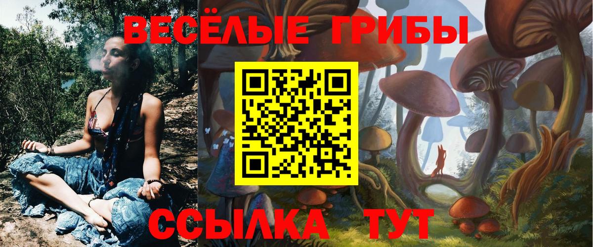 Галлюциногенные грибы GOLDEN TEACHER Десногорск